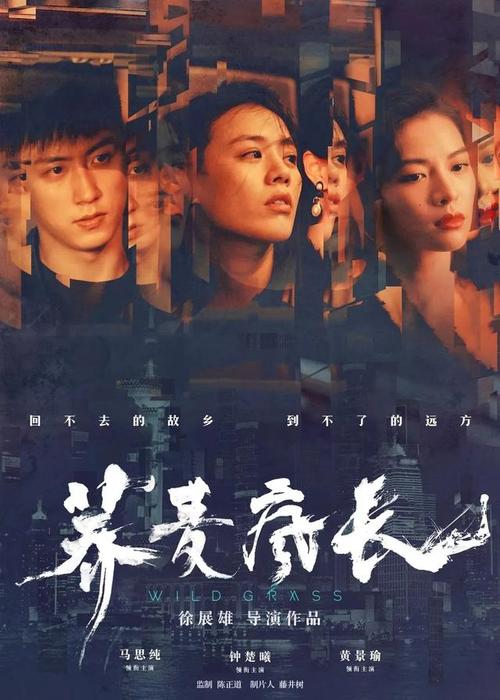双学士学位毕业证书